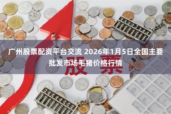 广州股票配资平台交流 2026年1月5日全国主要批发市场毛猪价格行情